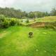 Lazo Silver Lake , Ooty, Ooty - Fotografie 7