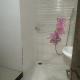 Satyabhama Homestay-Pearl - Two BHK Luxury appartment, Ιντόρε - Φωτογραφία 7