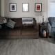Lazy Loon Cottage, Alton Bay (fotografie 4)