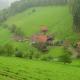 Cosy farmhouse apartment at the edge of the forest, Mühlenbach - Foto 7