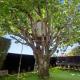 Large Family Home with pool, cricket, golf & more, Auckland - Foto 5