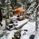 Sojourn Rustic Spa Retreat, Point Roberts (fotografie 3)