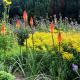 Studio Bloemenboerderij-Aperloo, 't Harde (foto 7)