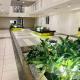 The Celandine Balintawak Quezon City, Manila - Fotografie 7