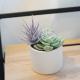 Cozy 2B1B Guest House with Private Entrance and Parking, El Monte (fotografie 8)