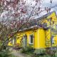 Wohnung am Stadtrand im Grünen, Zeuthen - Foto 1