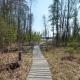 Loons Landing, Bellaire (Foto 8)