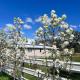 Pretty Pink Queenslander - Spectacular Views, Space and Serenity, Тентерфилд (фото 3)