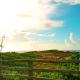 Sea View Wonder - Playa Jobos 2, Isabela (photo 3)
