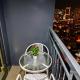 Home of the GoodVibes Red Residences Makati, Manila - Fotografie 8