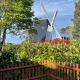 Windmill Cottage Worthing - Fotografie 1