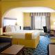 Holiday Inn Express & Suites - Jourdanton-Pleasanton by IHG, Jourdanton - Fotografie 7