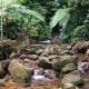 Nature Lodge, Tarapoto - Fotografie 6