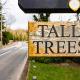 Tall Trees Whitstable - Fotografie 6