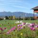 Alpspitz Comfortable holiday residence, Murnau am Staffelsee - Foto 5