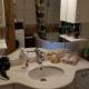 Bunkhouse & Apartments, Pristina (Foto 10)
