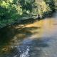 8 Acres on Betsie River River front Trails Disc golf Thompsonville - Foto 9