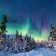 Secret Lapland - Luxury Villa Siida with Northern Lights Hut