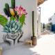 Casa Nopal-Private Pool, Chic, Steps from Beach, Puerto Escondido (foto 9)