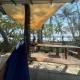 Beachfront sunset Bungalow, Arío (Foto 2)