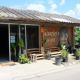 Sharky's Hostel, Pai (foto 4)