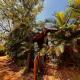 Bramha Home Stay, Canacona - Fotografie 7
