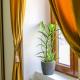 Old Town Relaxing&Cozy Apartment, ティミショアラ - 写真 3