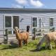Alpaca Serenity Farmhouse, Sandy Knolls - Fotografie 1