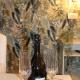 Guest House Esty, Rome (photo 4)