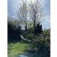 Hennesee Chalet Comfortable holiday residence, Meschede - Foto 6