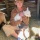 Travel Trailer with Wi-Fi at Fabulous Bok Vegas Interactive Petting Zoo and Farm, Glad Oaks Airport (foto 6)