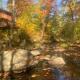 Whispering Woods Cabin - Creekside & Pet Friendly, Grafton