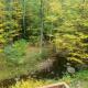 Whispering Woods Cabin - Creekside & Pet Friendly, Grafton (fotografie 10)