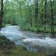 Whispering Woods Cabin - Creekside & Pet Friendly, Grafton (fotografie 7)