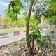 Apartment nearby madanta hospital, Gurgaon - Foto 2