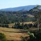 Grey Gum Lodge, Nimbin
