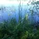 Ferienwohnungen am Malchiner See, Bülow - Photo 9
