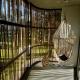 Villa Turquesa - Home, モロ・デ・サンパウロ - 写真 4
