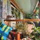 Surjios Guest House, Jinja (photo 2)