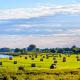 FeWo Elbtalaue, Lanz - 写真 1