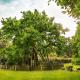 Erler Koornhuus, Raesfeld - 写真 5