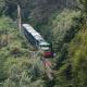 Heath Cote, Ooty - Foto 4
