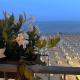 Villa Garda, Lido di Jesolo