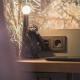 JUNGLE No5 Boutique Hotel - Stuttgart City-Center, Stuttgart - Photo 10