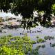 Cu Chi Boutique Countryside, Ho Chi Minh (foto 6)