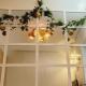 Zag Hive at SMDC- trees residences, Manille - Photo 2