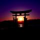 Full house Miyajima