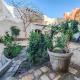 Cosy 1 bedroom in the heart of Hurghada - Sheraton Road, Hurghada (photo 2)