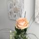 Sylter-Rose-Suedterrasse-mit-Strandkorb, Westerland - Foto 9