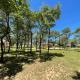 Matopo Ingwe Lodge, Matopos (foto 3)